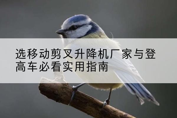晋江电动升降机厂家-选移动剪叉升降机厂家与登高车必看实用指南