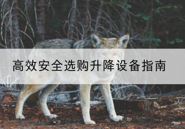晋江升降货梯厂家推荐-*安全选购升降设备指南