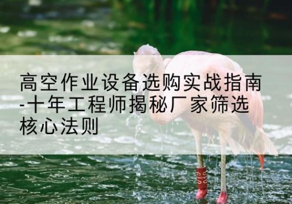 晋江剪叉式升降机厂家-高空作业设备选购实战指南-十年工程师揭秘厂家筛选核心法则